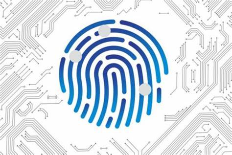 跨境电商IP防关联方法解析