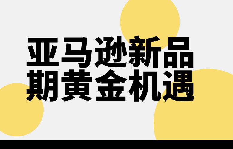 亚马逊新品期黄金机遇