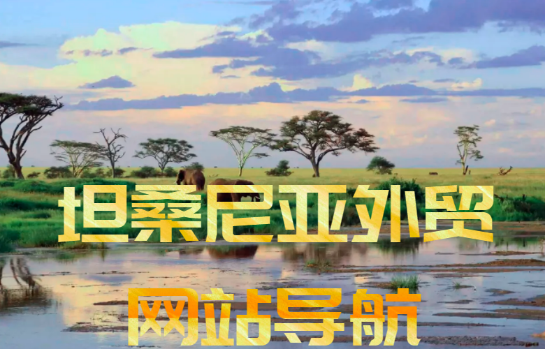 坦桑尼亚外贸网站导航