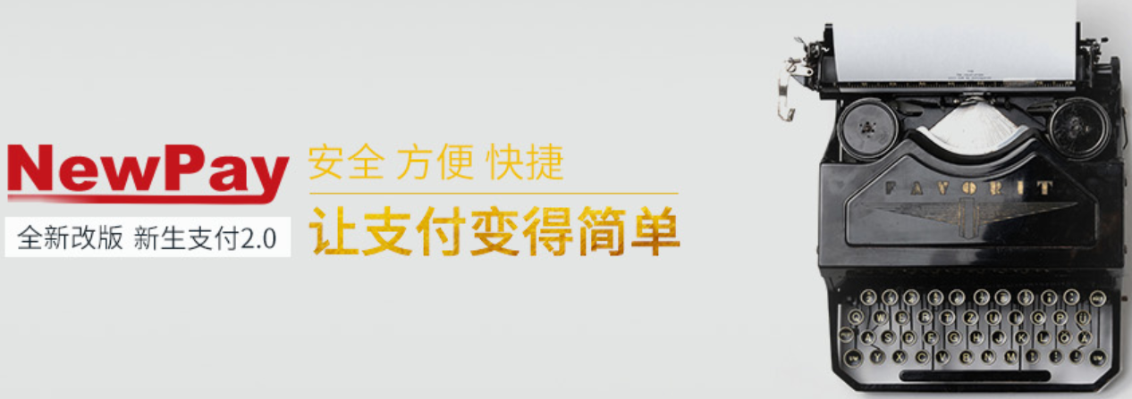 新生支付——国内新兴的第三方支付企业