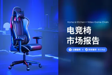 2024电竞椅市场分析报告