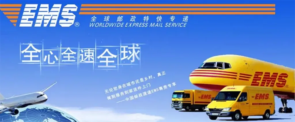 13.webp