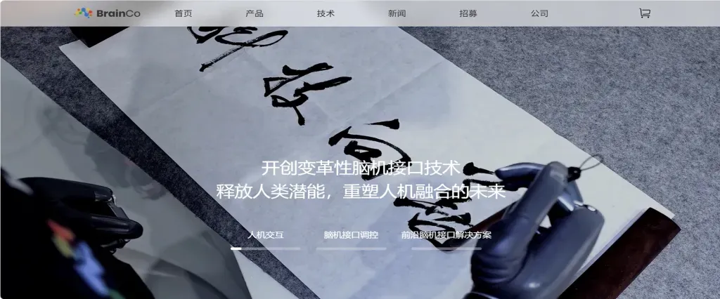 53.webp