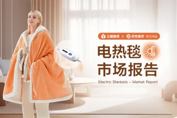 2024电热毯市场分析报告