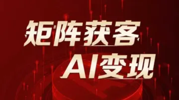 矩阵<em>获</em><em>客</em> AI变现