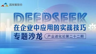 DeepSeek在企业中应用的实战<em>技巧</em>专题沙龙