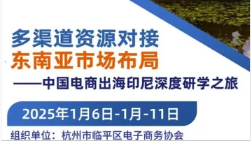 【跨境游学】多渠道资源对接 东南亚市场布局 ——中国电商出海印尼深度研学之旅