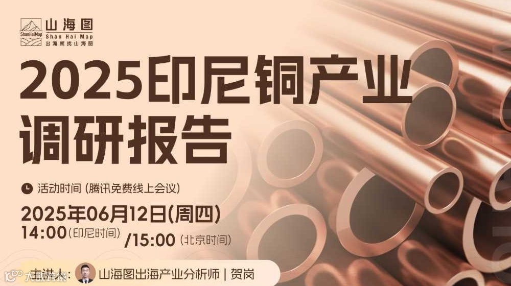 2025印尼铜产业调研报告