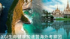 2025 XGI生命健康加速营海外考察-泰国&印尼