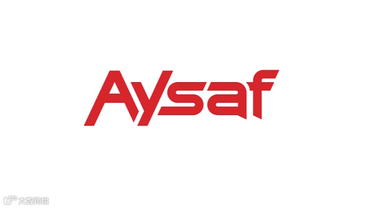 2025年土耳其皮革鞋材、鞋机展览会 AYSAF