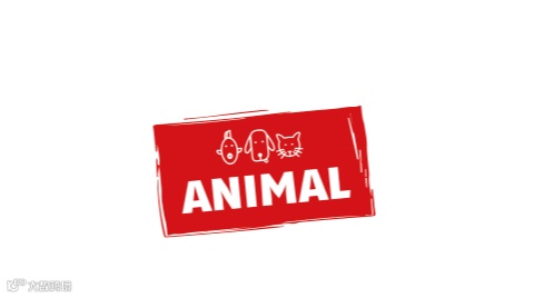 2025年德国斯图加特宠物用品展览会 ANIMAL