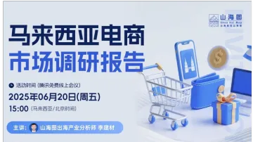2025马来西亚电商市场调研报告【出海】