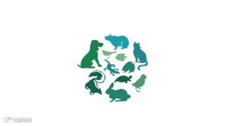 2025年华东（杭州）国际宠物用品展览会 Pet Fair