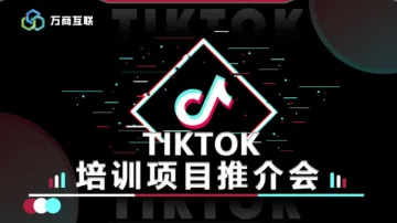 TikTok 招商<em>项目</em>推介会