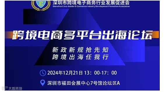 跨境电商多平台出海论坛
