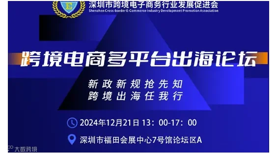 跨境电商多平台出海论坛