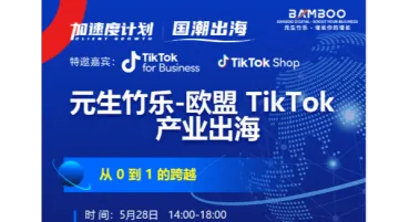 欧盟 TikTok产业出海