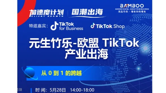 欧盟 TikTok产业出海