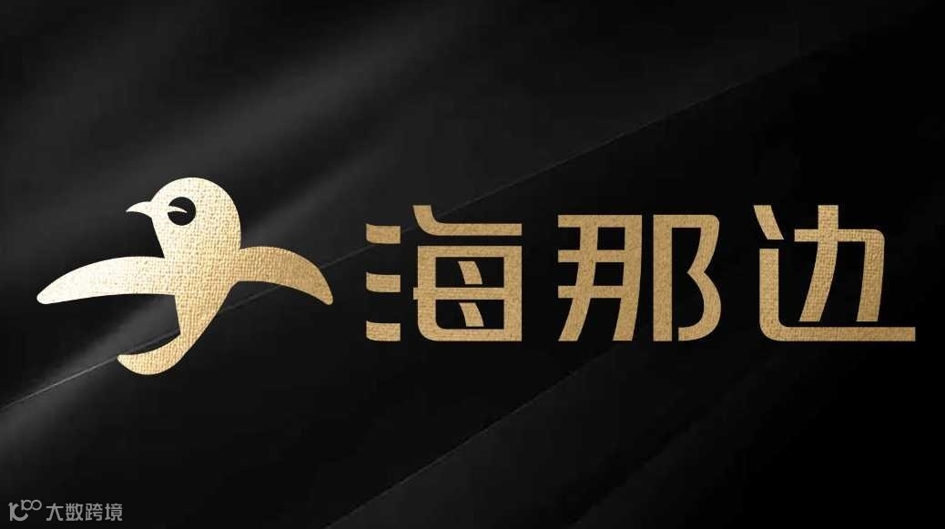 投资与身份双重博弈：2025机遇和挑战