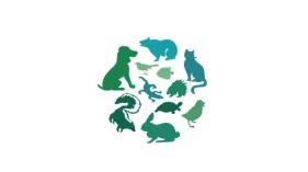 2025年深圳国际宠物用品展春季 Pet Fair