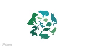 2025年深圳国际宠物用品展春季 Pet Fair