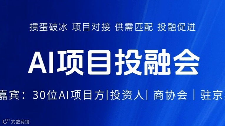 AI项目投融会
