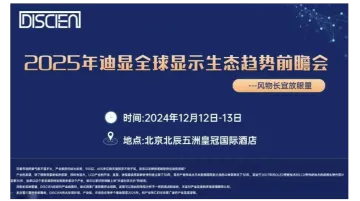 2025年<em>迪</em>显全球显示生态趋势前瞻会--风物长宜放眼量