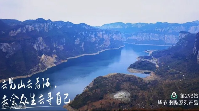 魔都私域电商创业项目分享