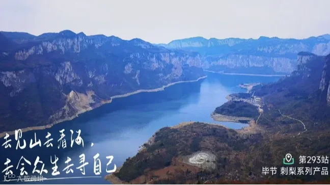 魔都私域电商创业项目分享