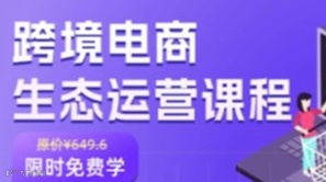 跨境电商生态运营课程｜限时免费
