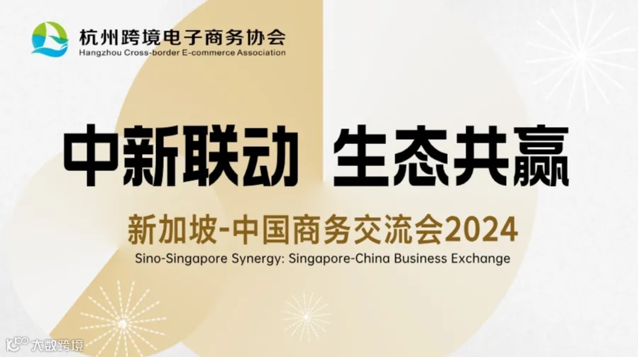 中新联动●新加坡-中国商务交流会 2024