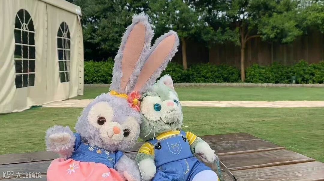 不展示报名表单