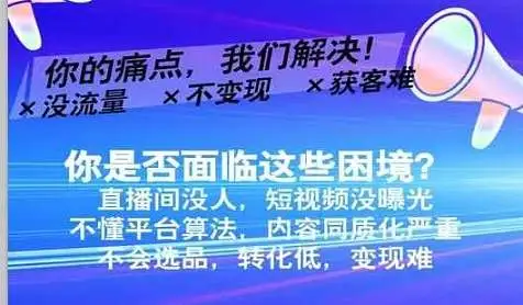短视频营销直播变现速成课2