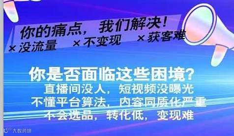 短视频营销直播变现速成课2