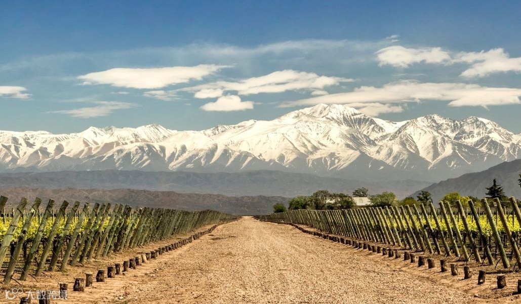 阿根廷葡萄酒大师班