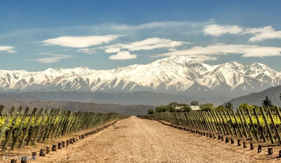 阿根廷葡萄酒大师班