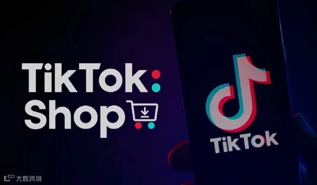 TikTok两天一夜实战特训营  2天闭环变现，从下载注册到直播卖货