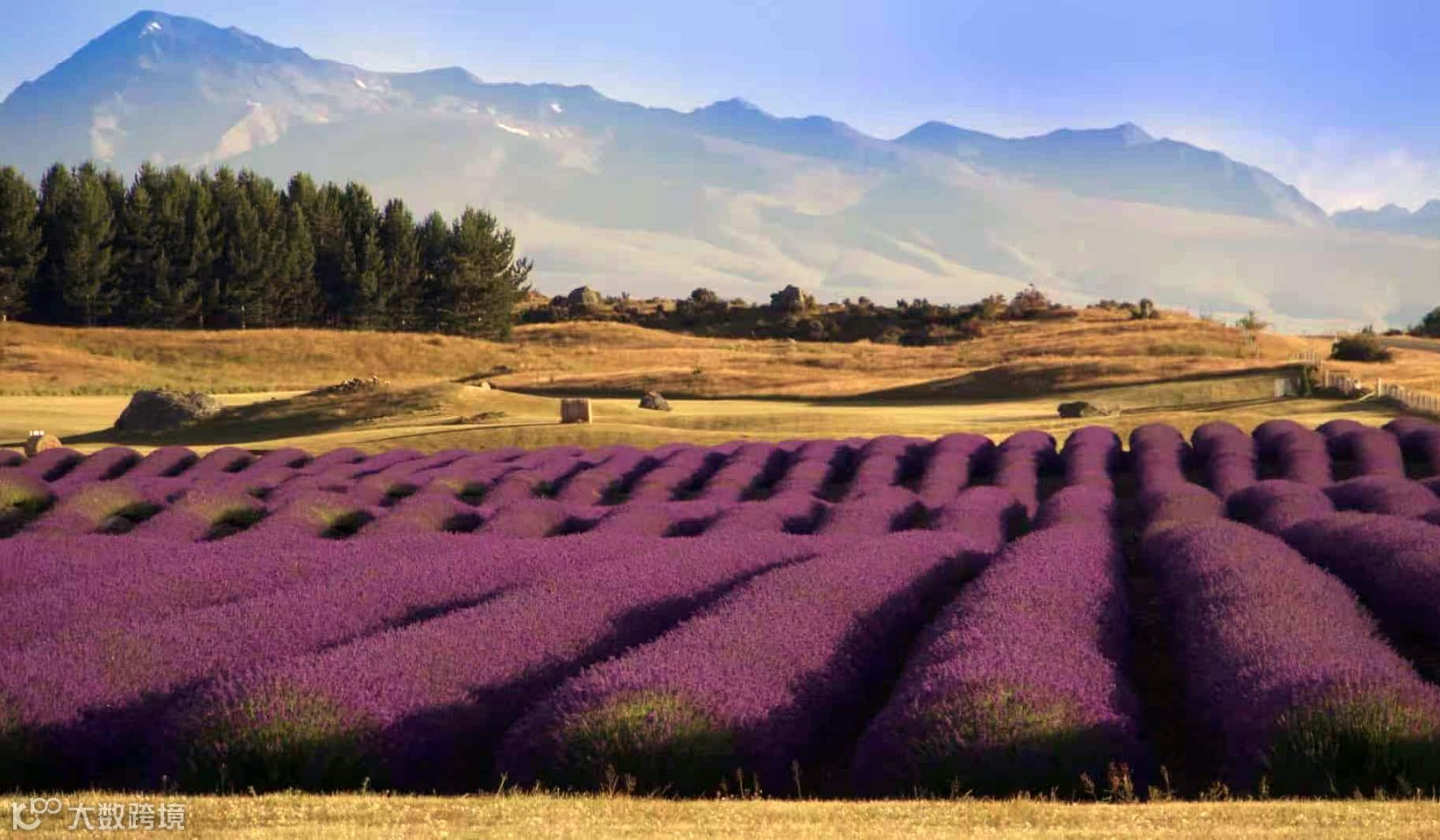 「芳香温养气血●音疗润心」芳香沙龙