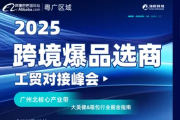 跨境爆品选商