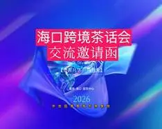 海口跨境交流茶话会-外地归来青年