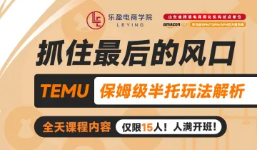 Temu保姆<em>级</em>半托玩法解析