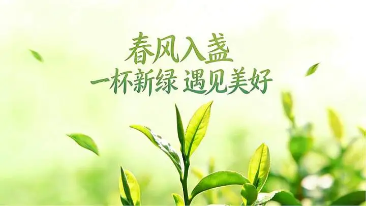 第63期｜「春风入盏・遇见」-2026早春毛峰品鉴会