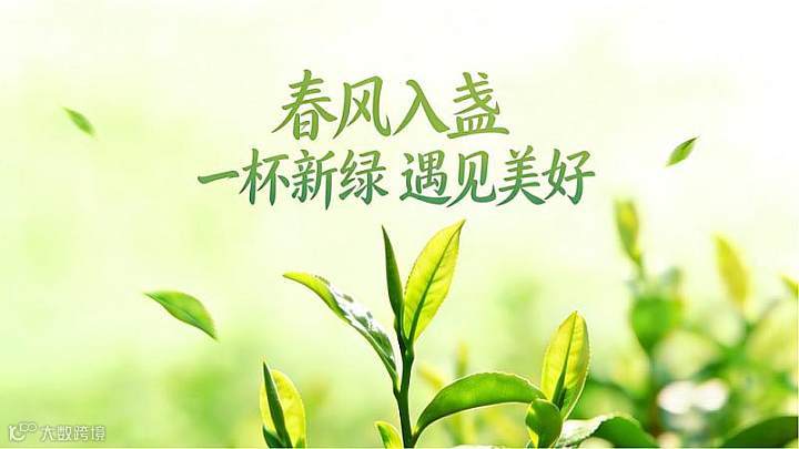 第63期｜「春风入盏・遇见」-2026早春毛峰品鉴会