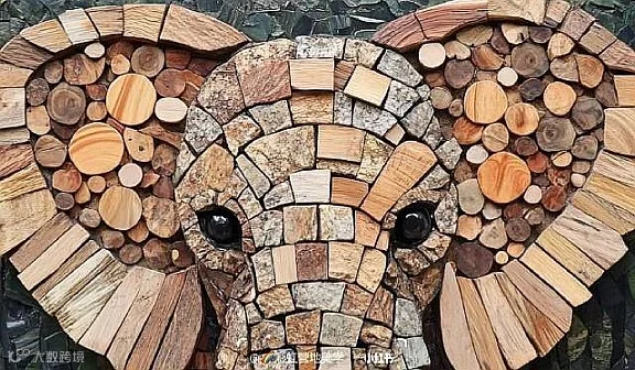 大象公社惠民卡手作研学游