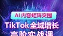 AI赋能-TikTok高阶实战线下课课