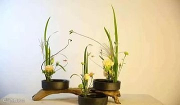 2026浦东海派旗袍文化会