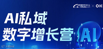 AI数字增长营第七期