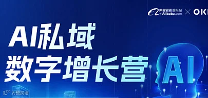 AI数字增长营第七期