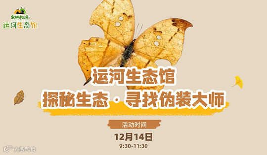 探秘生态●寻找伪装大师—运河生态馆蝴蝶研学课