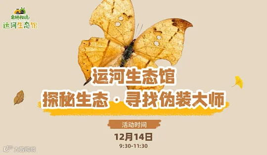 探秘生态●寻找伪装大师—运河生态馆蝴蝶研学课